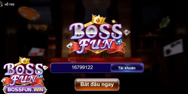 Các phương thức liên hệ bossfun mà nền tảng hỗ trợ