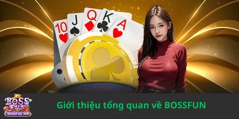 Giới thiệu tổng quan về BOSSFUN